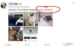 qq免费吃瓜网红圈是真的吗,QQ免费吃瓜网红圈的真实性探究  第3张