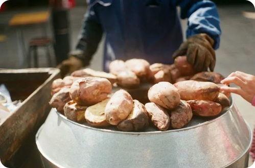 梵谷老地瓜爆料视频大全,揭秘幕后故事与精彩瞬间 第3张 梵谷老地瓜爆料视频大全,揭秘幕后故事与精彩瞬间 第3张